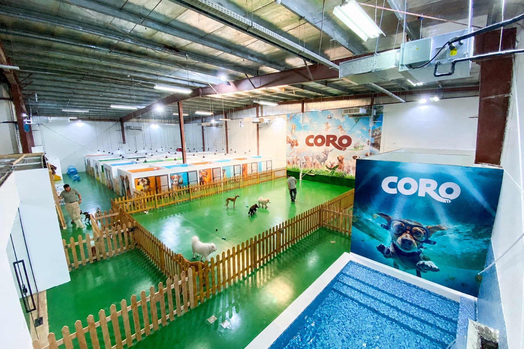 The Dog Academy play areas from above: fenced groups on a green floor, rooms along the wall and the indoor pool