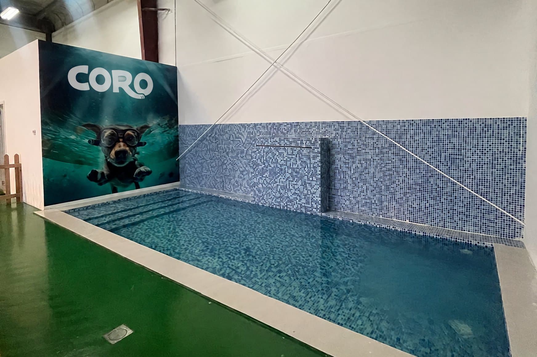 The Dog Academy indoor pool with a mosaic wall and a swimming-dog mural