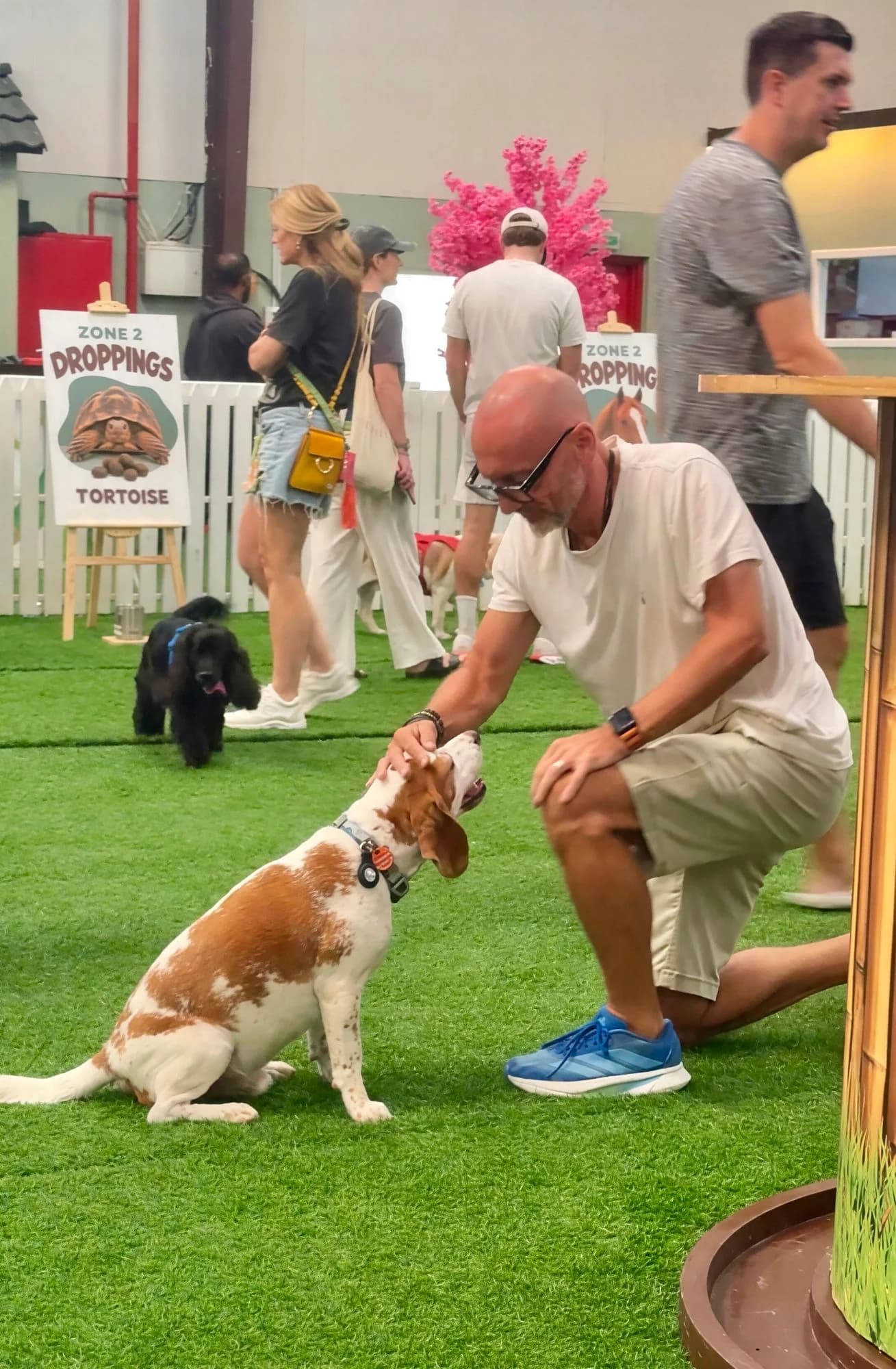 A man kneeling to greet a beagle at a community day in the park