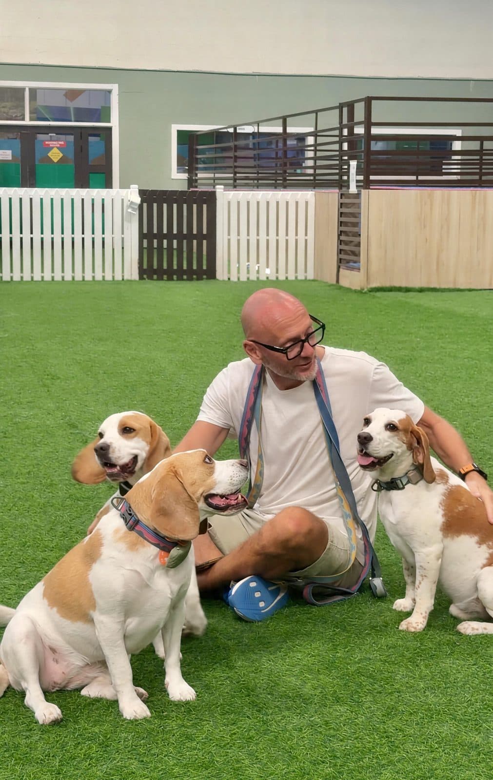 A man sitting on the turf with two beagles