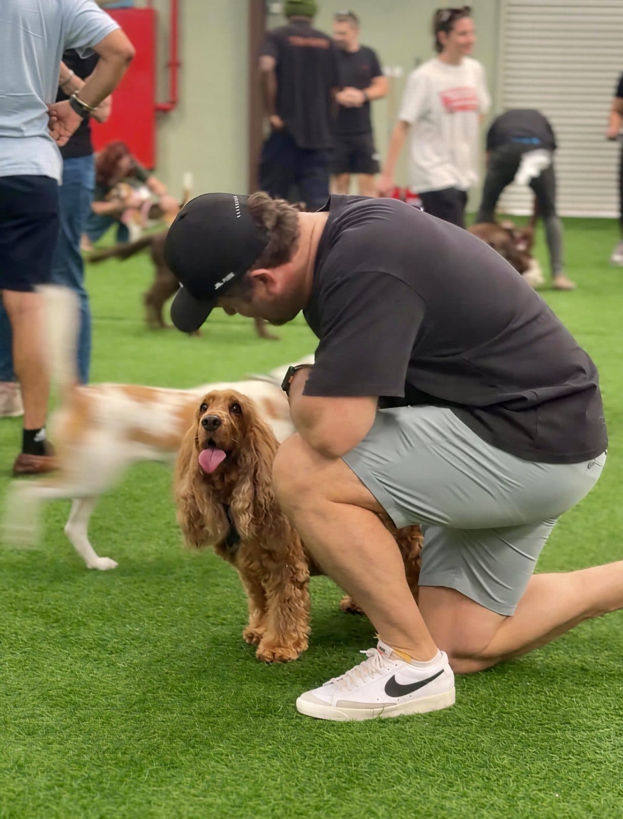 A man greeting a cocker spaniel on the park turf
