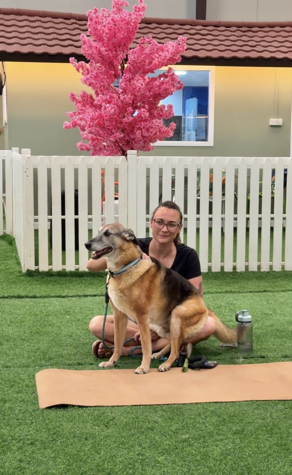 A woman sitting on a mat with a senior shepherd mix