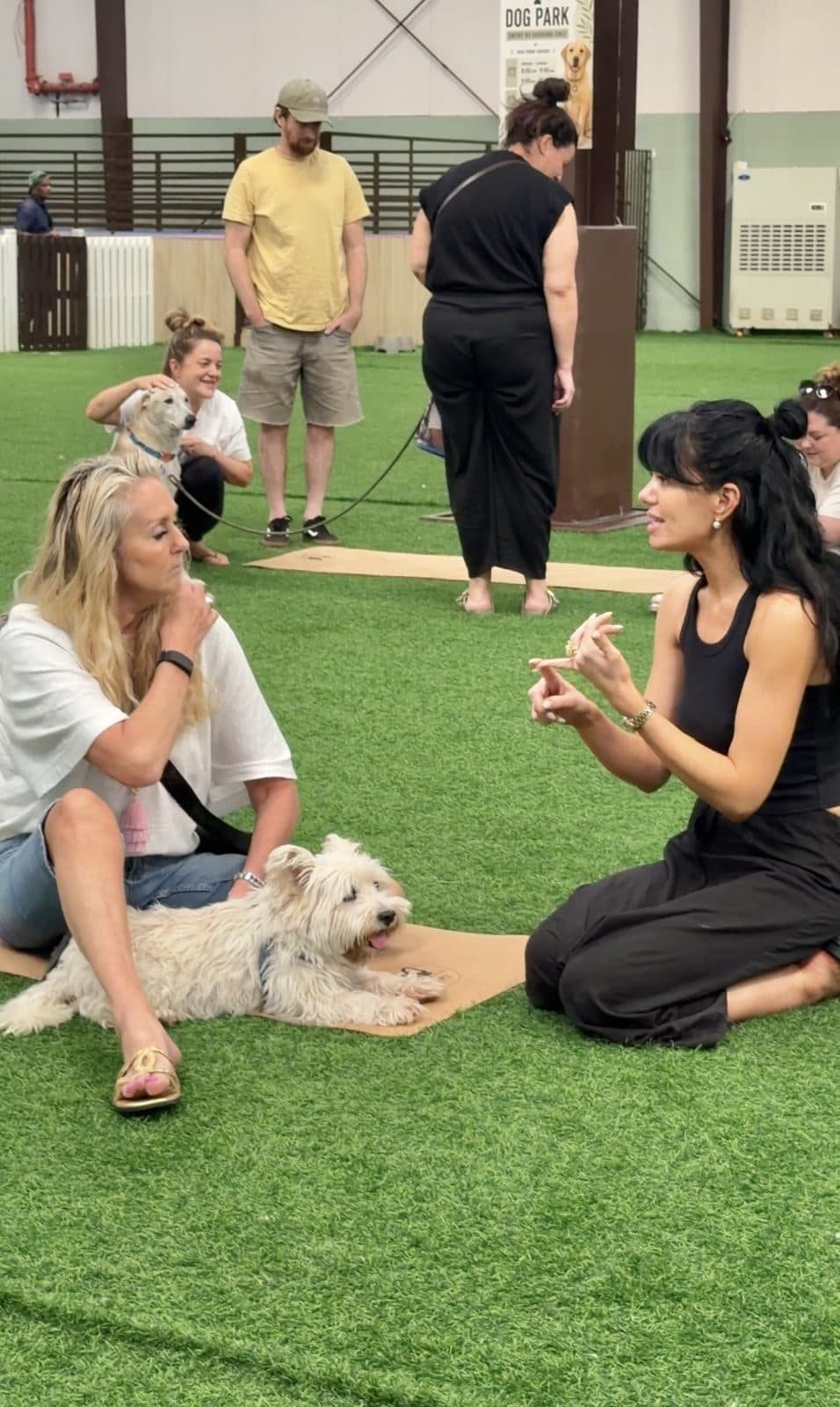 Guests sitting on the turf with a westie during a vet talk