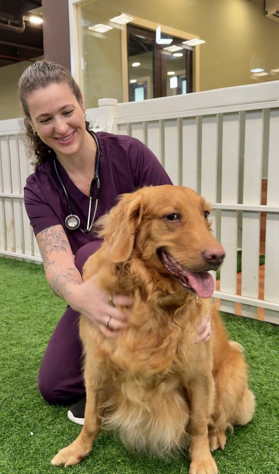 A vet kneeling beside a golden retriever