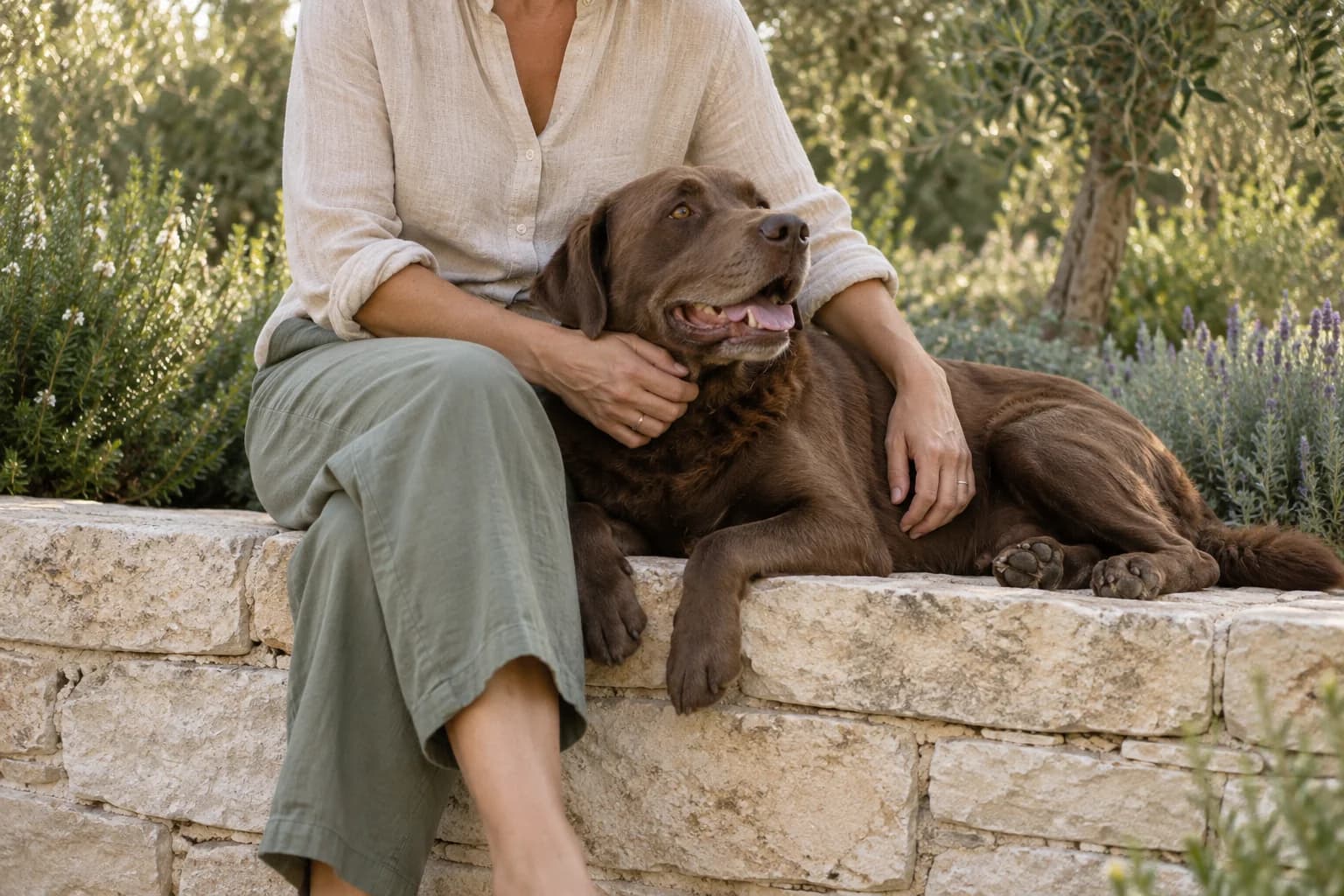 A person with a hand resting on a settled dog at handover