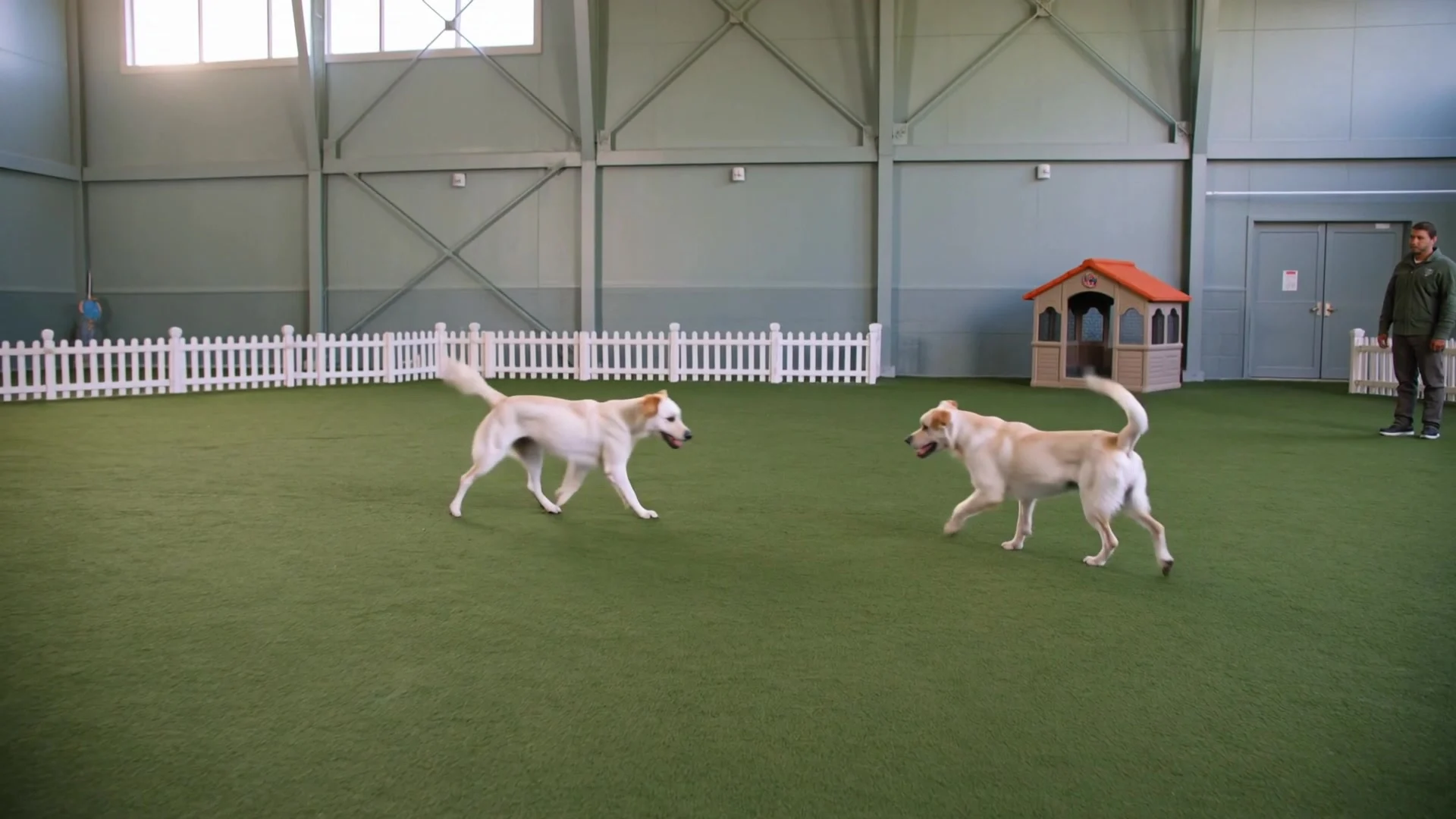 Dogs and their people sharing the Coro indoor park